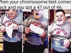 Image result for Hand Over the Chromosome Meme