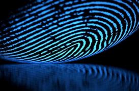 Image result for Fingerprint Forensics