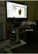 Image result for Sony Color Correcting Monitor
