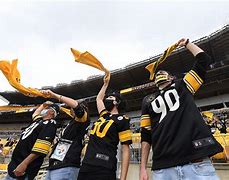 Image result for True Steelers Fans