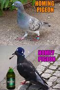 Image result for Pigeon Meme