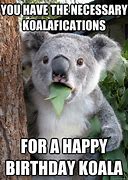 Image result for Happy Koala Meme