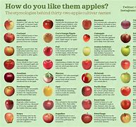 Image result for Fruit Variety
