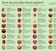Image result for 20 Apples