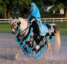 Image result for Arabian Horse Native Costume