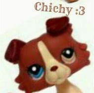 Image result for chichy
