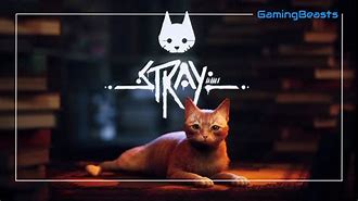 Image result for Stray Game Thumbnail