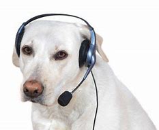 Image result for Dog with Headset Meme