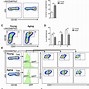 Image result for Hematopoietic Stem Cells