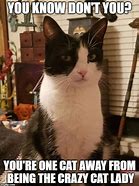 Image result for Fat Crazy Cat Lady