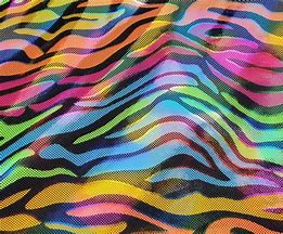 Image result for Animal Neon Zebra Print