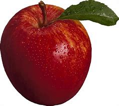 Image result for Apple Items