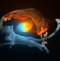 Image result for Fire Cat Background