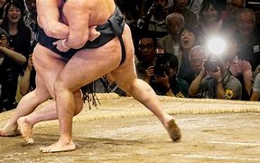 Image result for Sumo Tournament