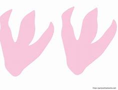 Image result for Unicorn Footprint