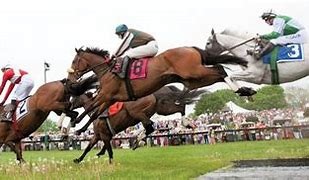 Image result for Steeplechase Horse Falls