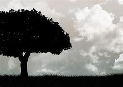 Image result for Black and White Tree Landscape