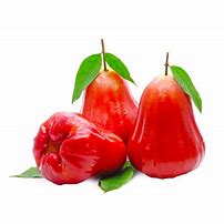 Image result for Watery Rose Apple