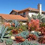 Image result for Low Water Desert Landscaping