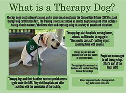 Image result for Anxiety Therapy Dogs