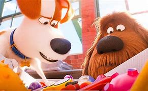 Image result for the secrets life of pet 3