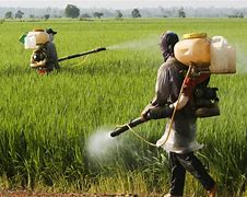 Image result for Pesticide Can