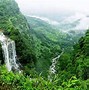 Image result for Giant Panda Bamboo Forest China