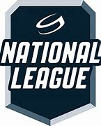 Image result for National Ice Hockey League