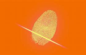 Image result for Fingerprint Security Systems