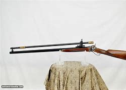 Image result for Scoped Sharps Rifle