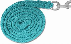 Image result for Stanchion Rope PNG