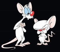 Image result for Thank You Pink Pinky and the Brain