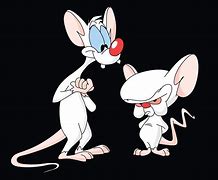 Image result for Brain Pinky and the Rude Meme