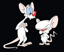 Image result for The Flintstones Pinky and the Brain