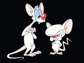 Image result for The Brain From Pinky and the Brain