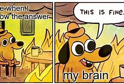 Image result for This Is Fine Meme Answer