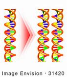 Image result for Andriod DNA