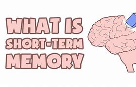 Image result for Short-Term Memory Brain