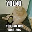 Image result for Never Buy a Cat When Your Drunk Meme