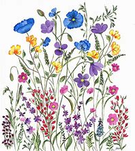 Image result for Wildflower Watercolor Paintings