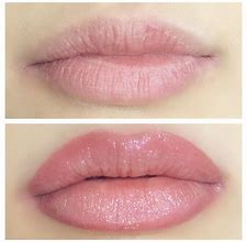 Image result for Permanent Makeup Lip Colors