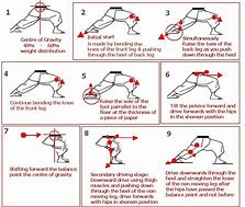 Image result for Basic Karate Stances