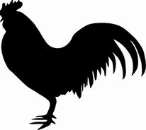 Image result for Chicken Clip Art Black and White