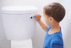 Image result for Types of Toilet Flush Handles