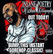 Image result for Insane Poetry