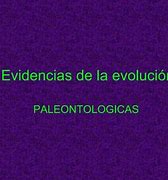 Image result for Tipos De EVOLUCION