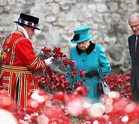 Image result for Pictures of Queen Poppy