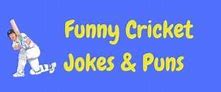 Image result for Cricket Jokes Book