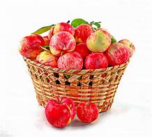 Image result for Apple Basket