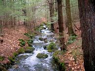 Image result for A Small Stream